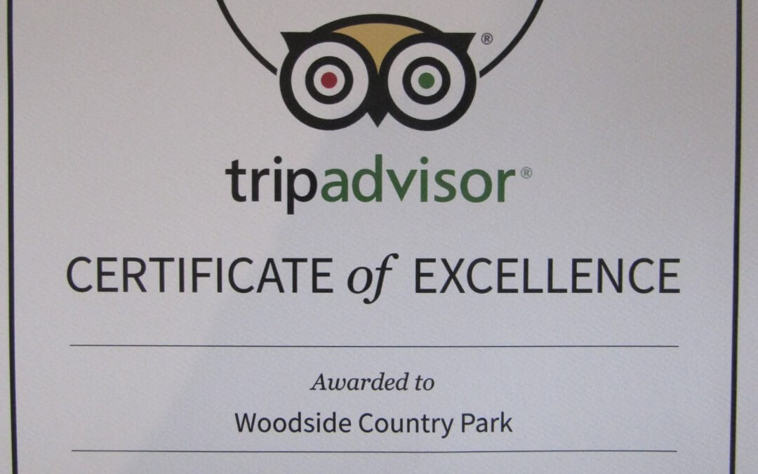 Certificate of Excellence for Woodside!